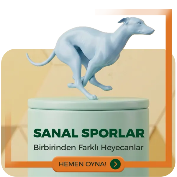 Sanal Sporlar